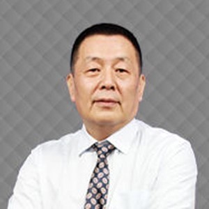王树京
